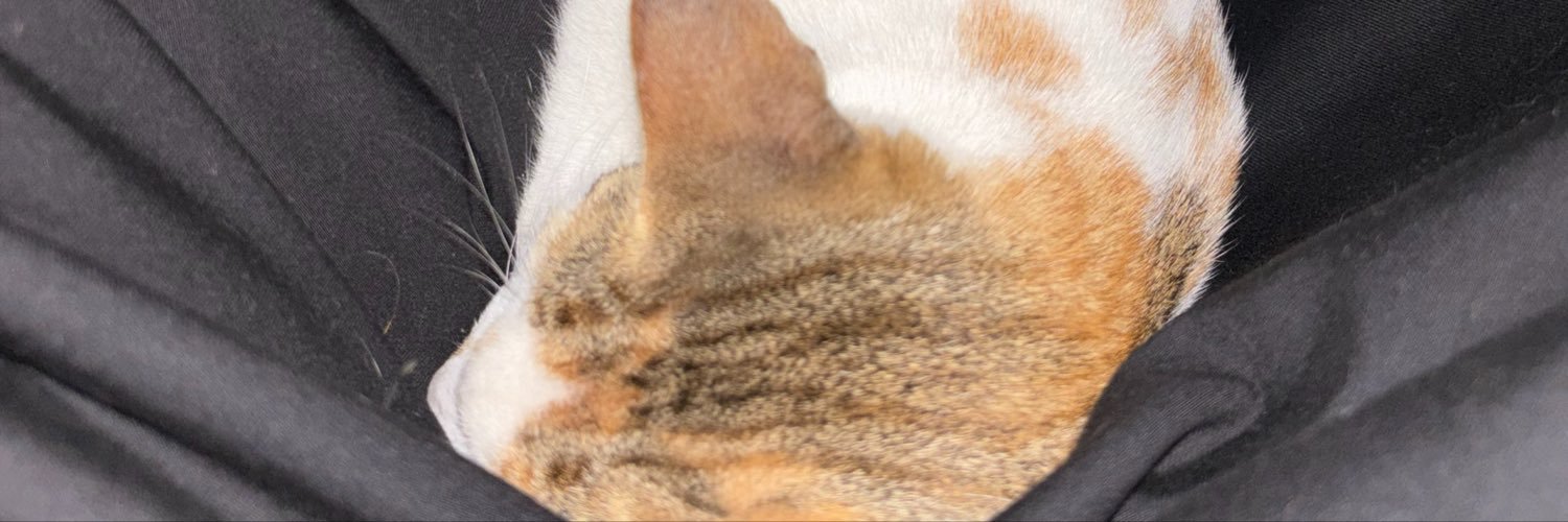 BROODAJOHN's banner