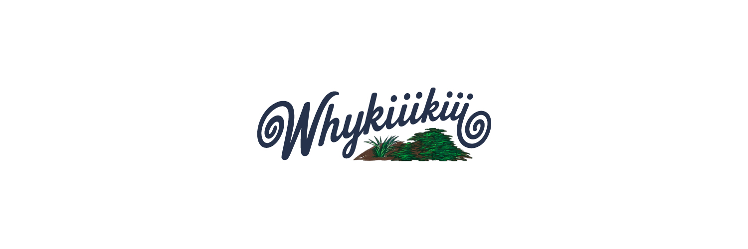 KiiiKiii's banner