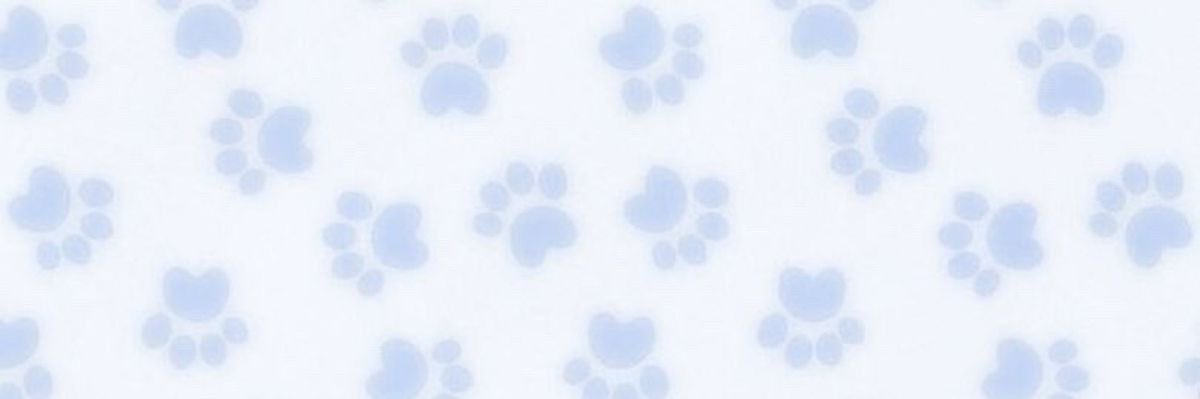 𝒏𝒆𝒂𝒓𝒍𝒚♡'s banner