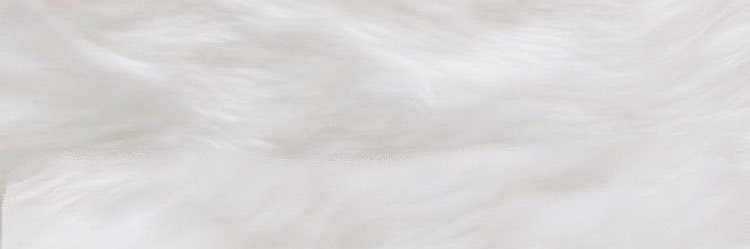 のあ🐰's banner