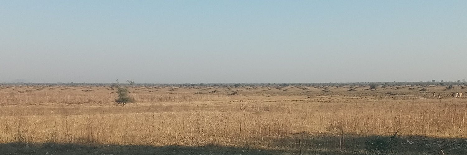 Rwabishingwe's banner