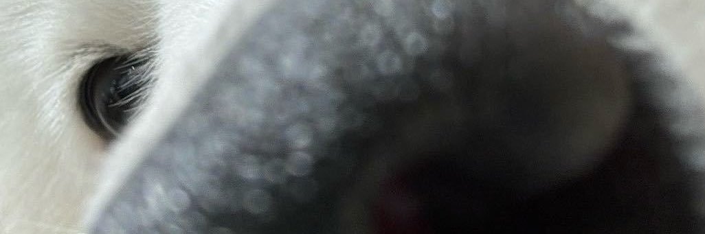 addkai（回国版🔜深圳's banner