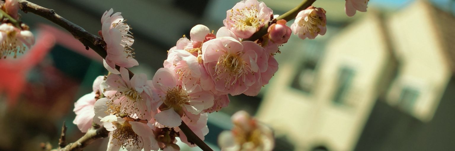 ほそみん's banner