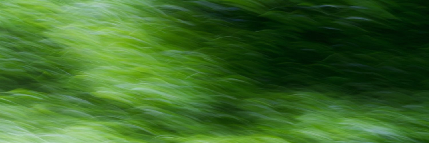 Willow's banner