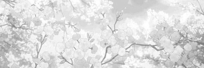 Dorothy's banner