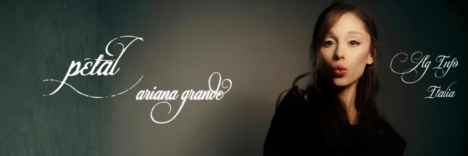 AG INFO🇮🇹 ꕤ's banner