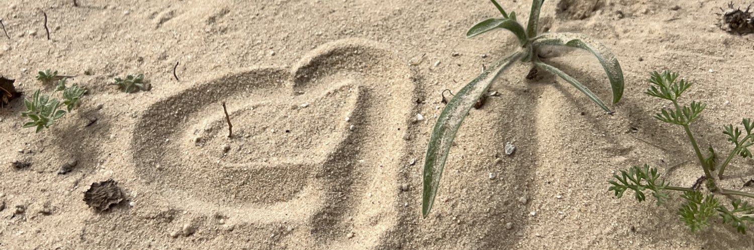 ّ's banner