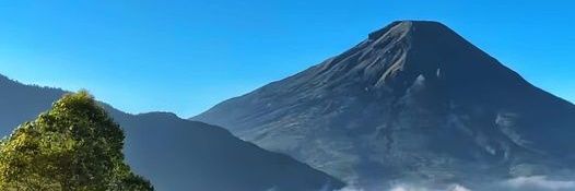 Real Life ☕☕'s banner