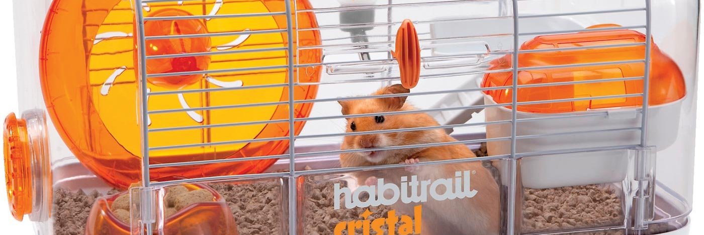 hamsterinapeacoat's banner