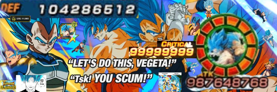 EZA LR TEQ SSGSS Goku & SSGSS Vegeta (Washed)'s banner