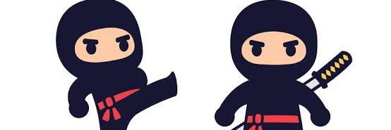 Ninja's banner