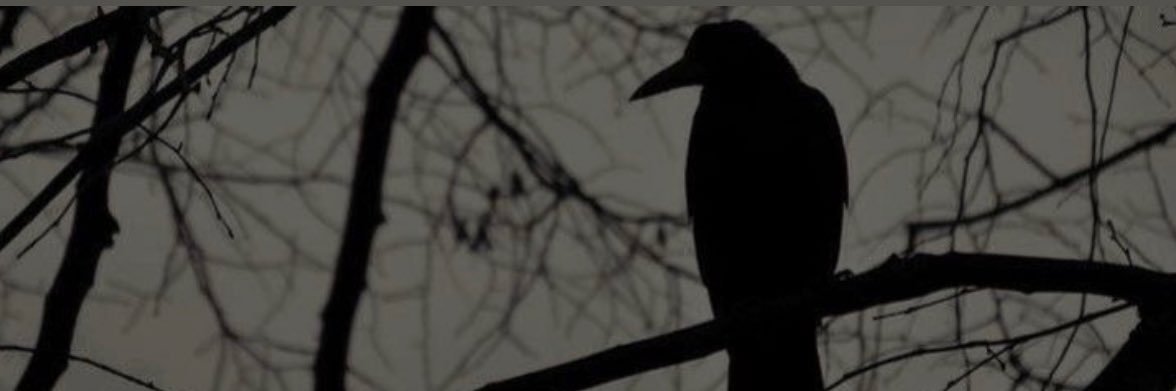 🖤🕷️Goddess Raven🕸️🖤's banner