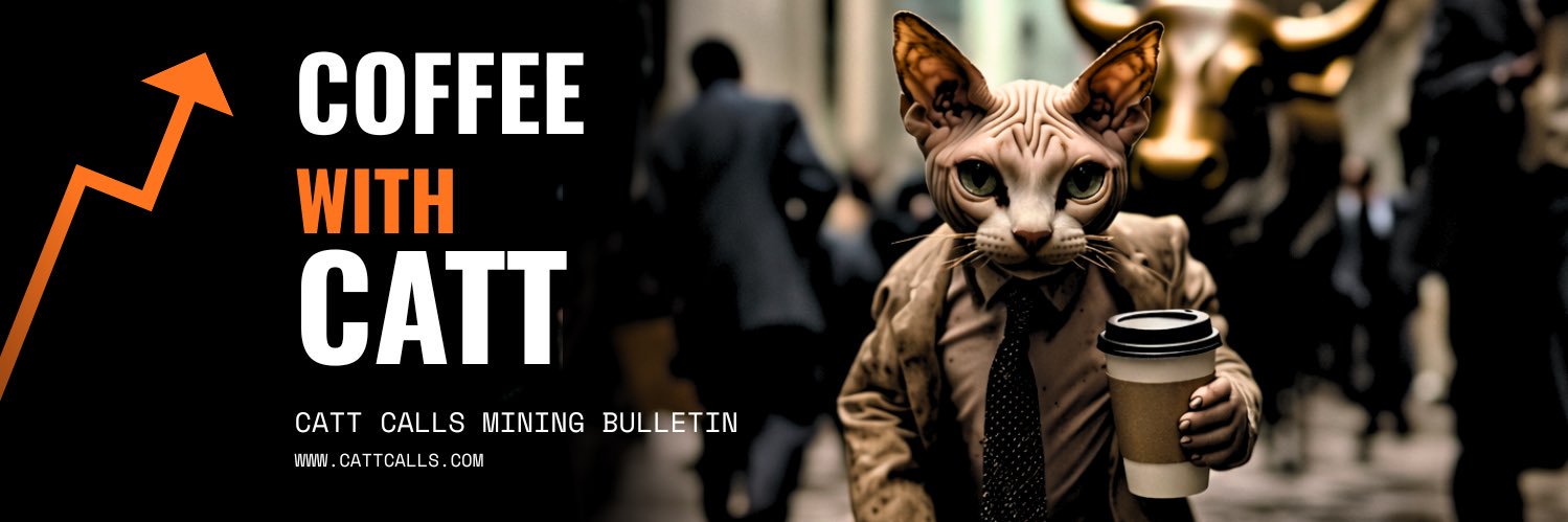 Catt Calls's banner