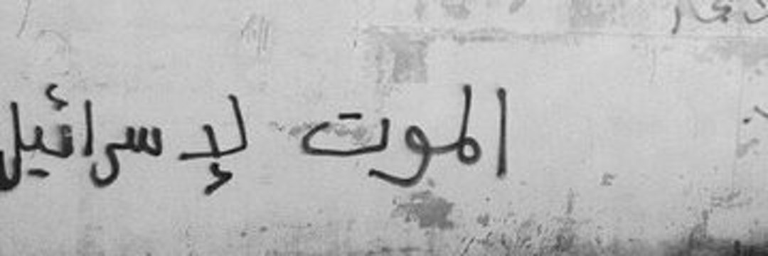مدام بطاطس🦆's banner