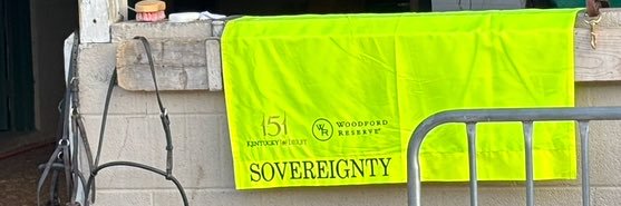 Kaylie Shapiro's banner
