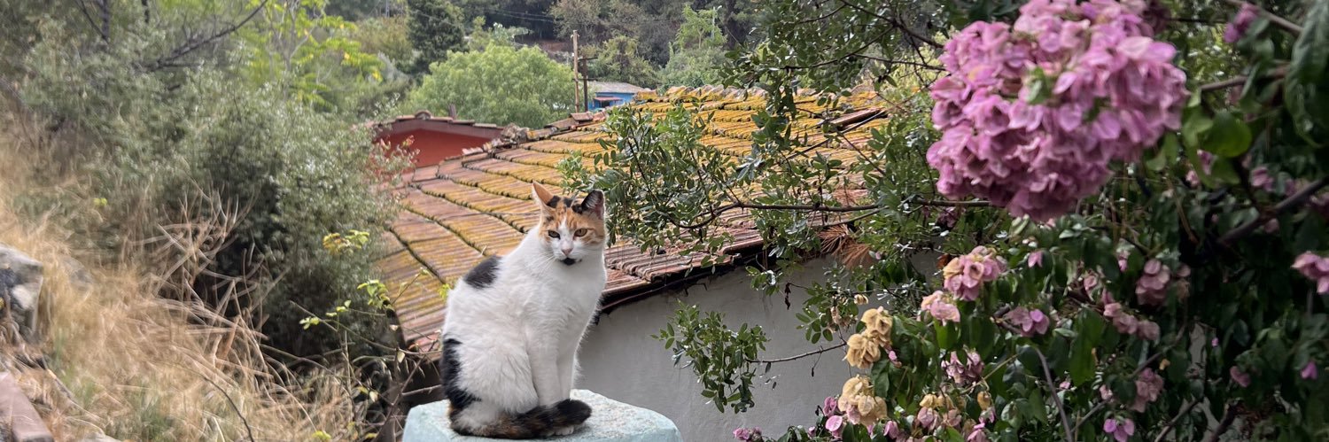 eylül's banner