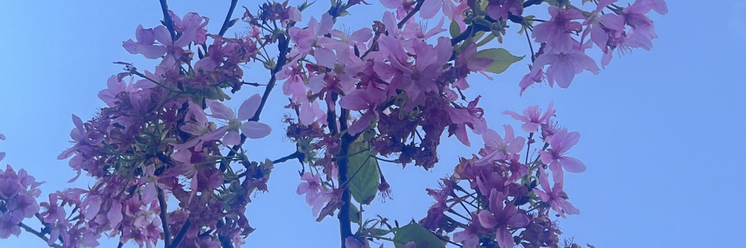 NakedDoggy's banner