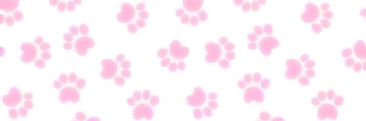 litlebunnie 𐙚's banner
