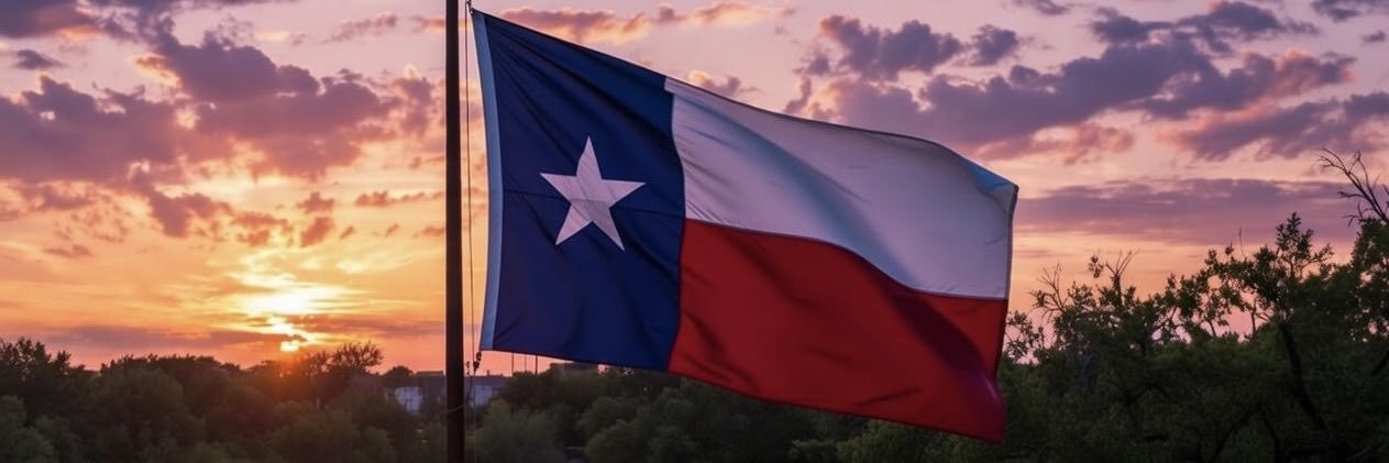 Based Bandita's banner