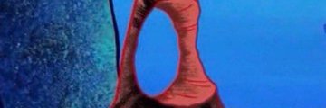 On God News's banner