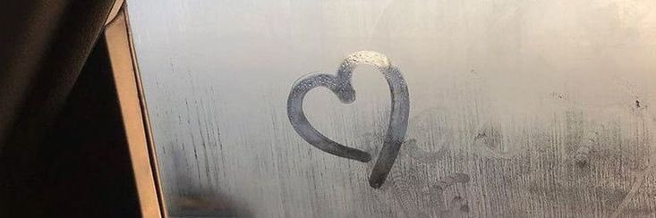 روزي's banner