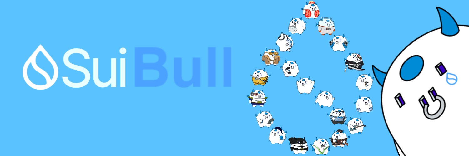 Sui Bull CTO's banner