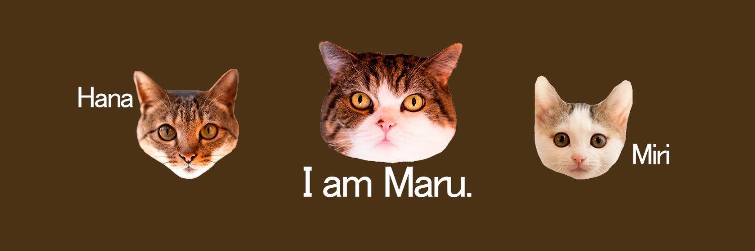 I am Maru.'s banner