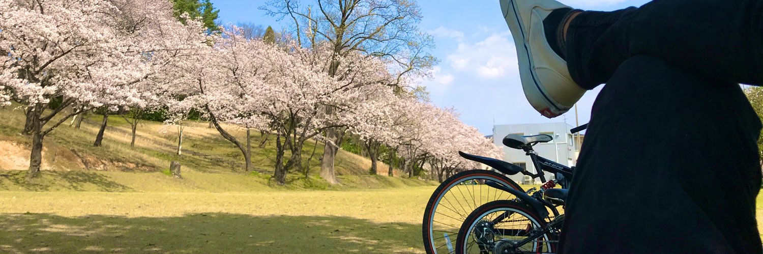 🌻おティムポンまっする🌻's banner
