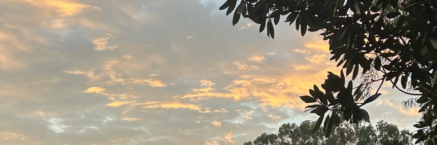 amy's banner