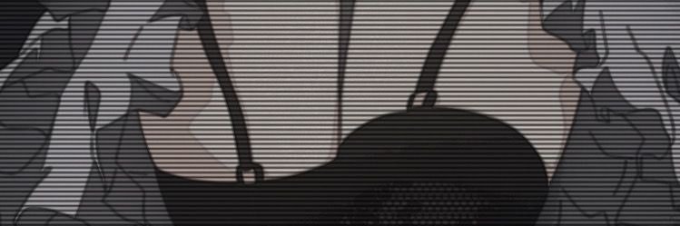 fanschan's banner
