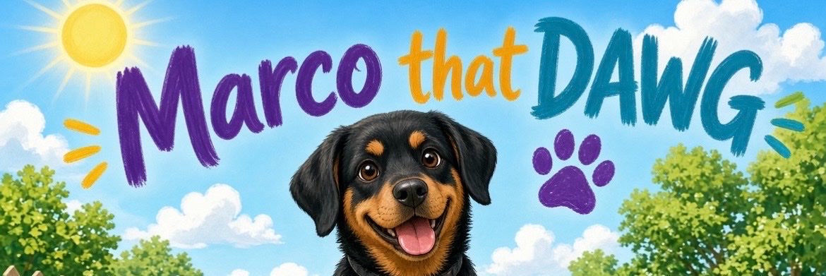 Marco that DAWG 🐶's banner