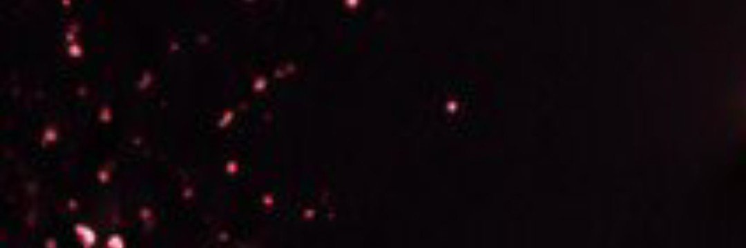 Michella's banner