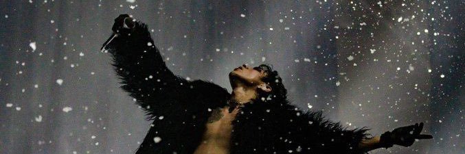 ⋆˚࿔ miso 𝜗𝜚˚⋆|| #1 winterfall enthusiast's banner