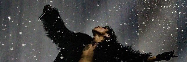 ⋆˚࿔ miso 𝜗𝜚˚⋆|| #1 winterfall enthusiast's banner