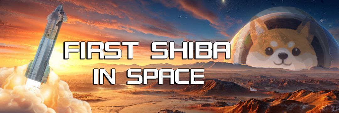 ASTEROID SHIBA's banner