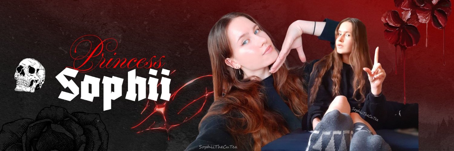Princess Sophii ✩‧₊˚'s banner