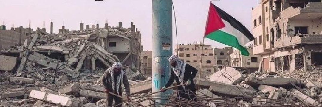 Mahmoud|مًحًمًوٌدٍ 🇵🇸🕊's banner
