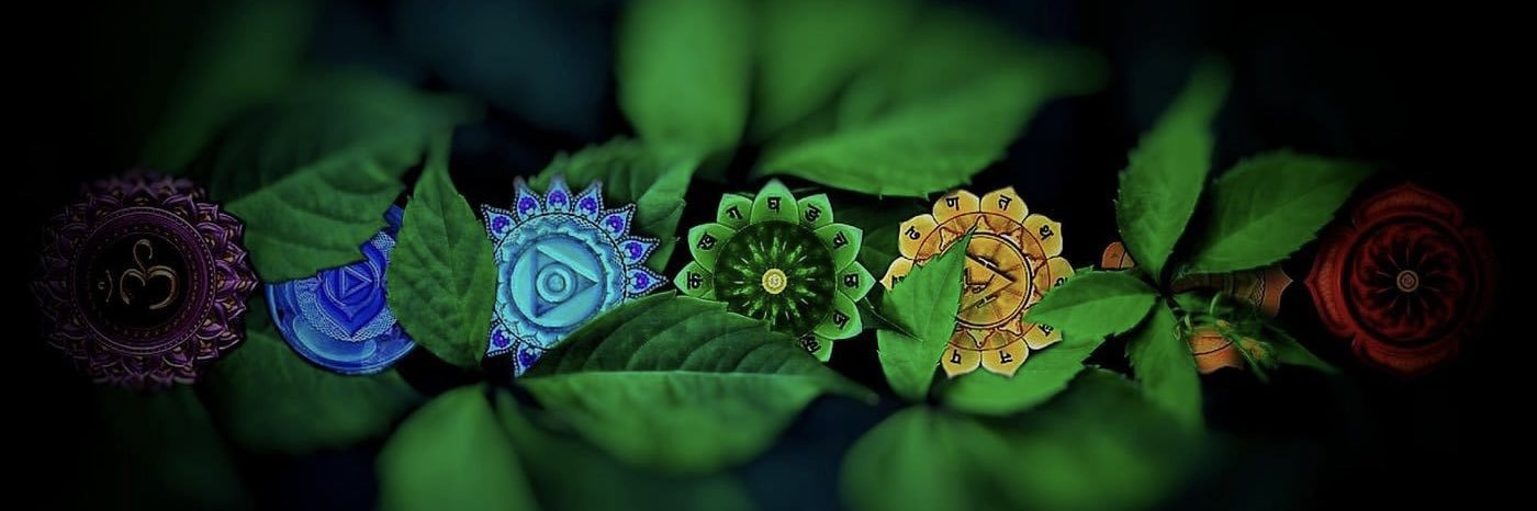 Cosmic Insights 🌻's banner