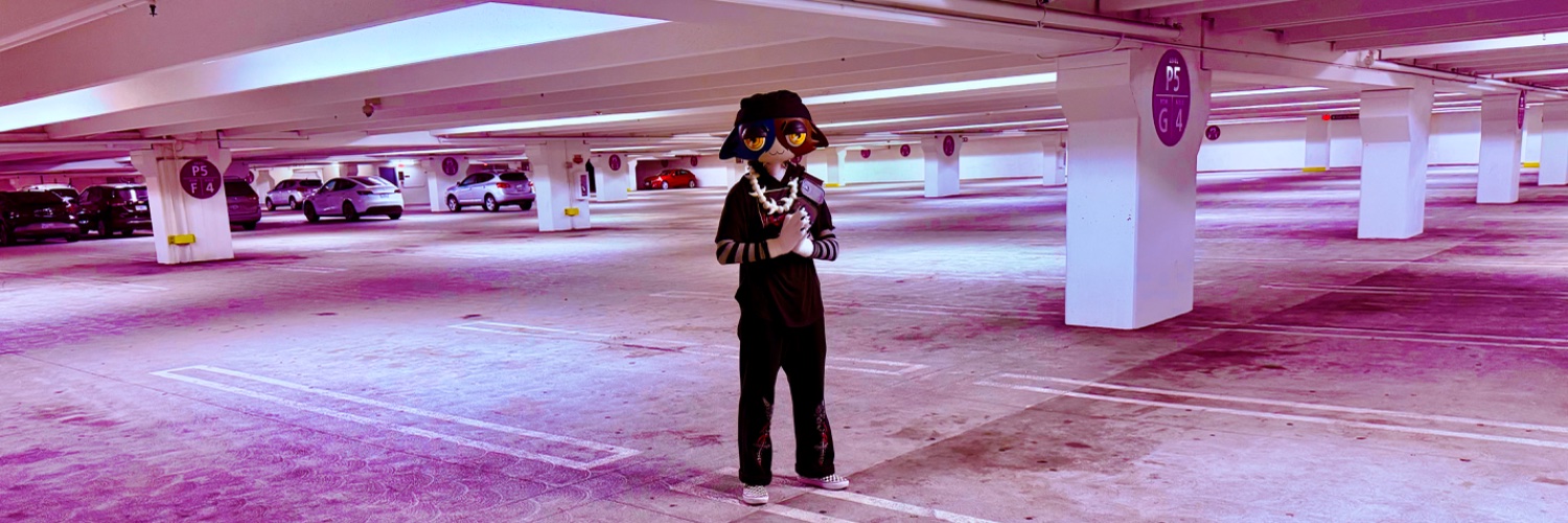 SkullsChaos (MAKER OF MEOW SKULLS HOODIE)😼's banner