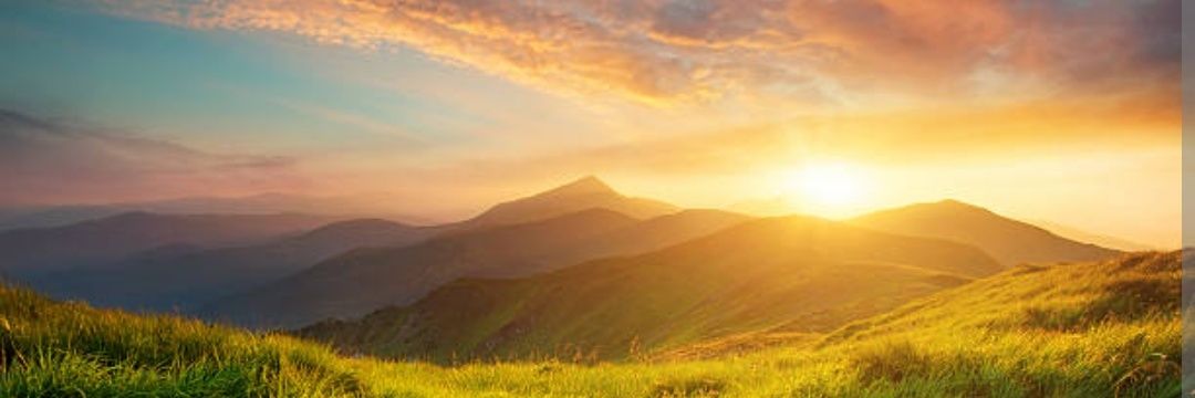 HappyLife's banner