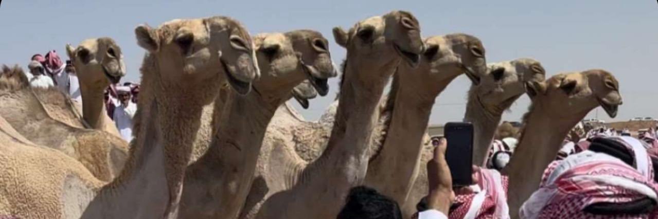 سعود بن فهد الثقيل's banner