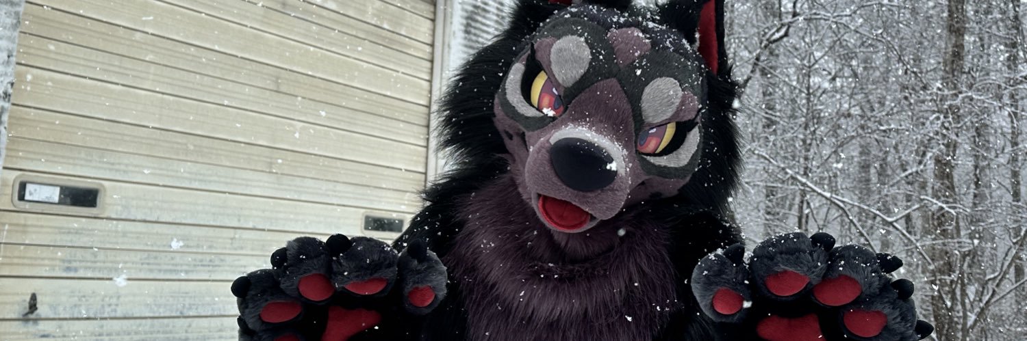 Rose⋆˙⟡'s banner