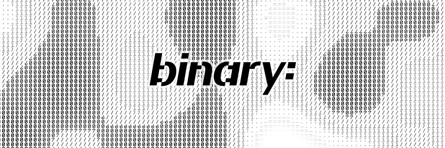 Binary's banner