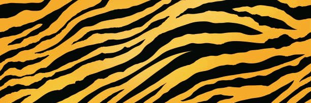 𝐈 𝐀𝐌 𝐀𝐋𝐋 𝐓𝐇𝐀𝐓's banner