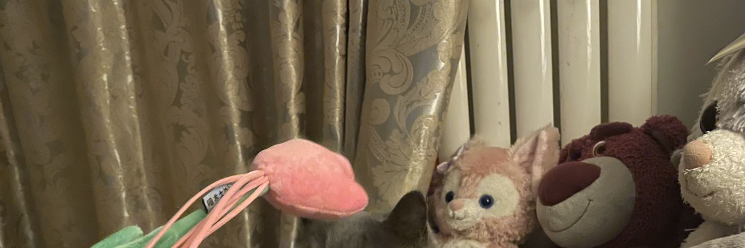 偷月亮的小兔子's banner