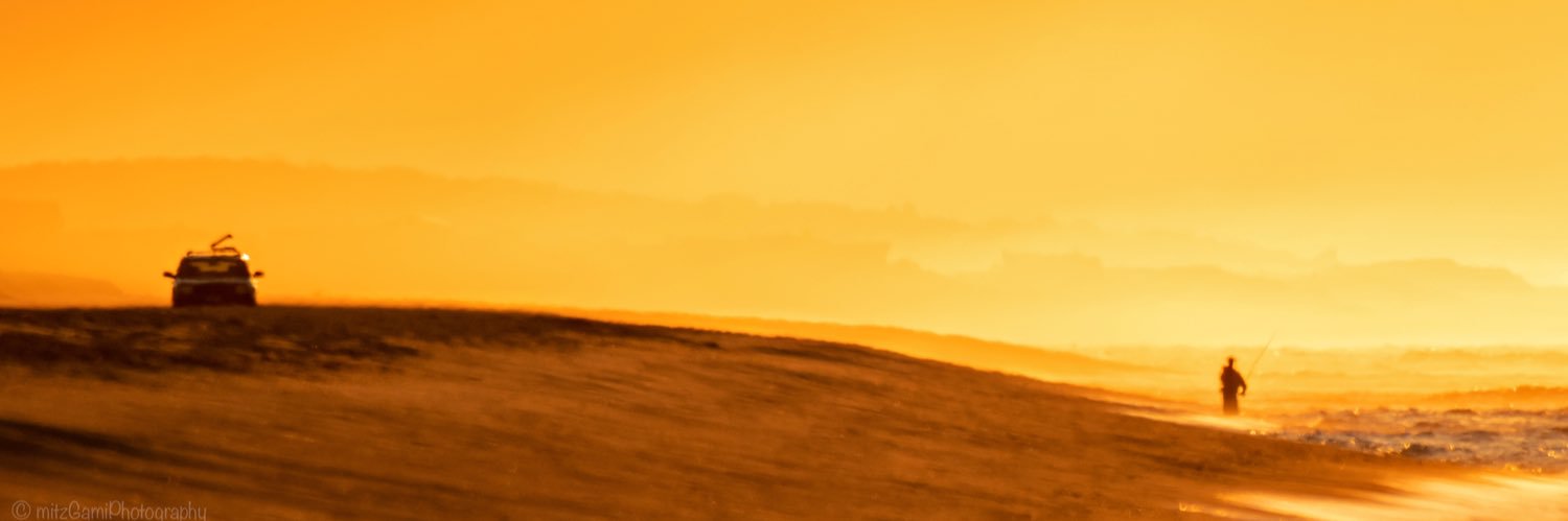 RosalieQD's banner