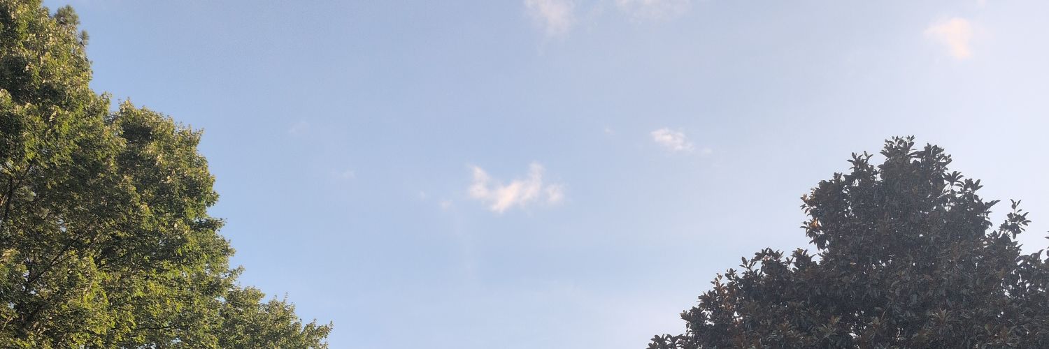 Blade's banner