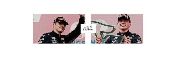Nicki's banner