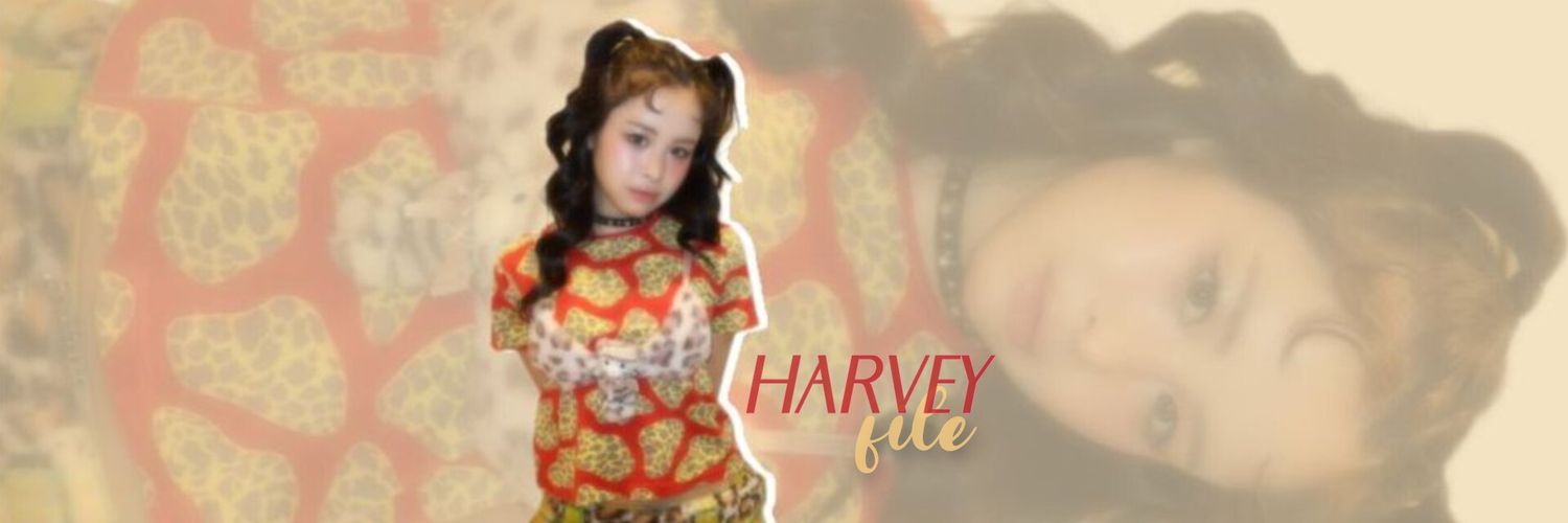 harvey file's banner
