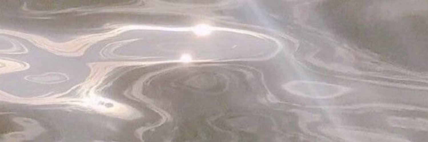 𝘮𝘪𝘪's banner